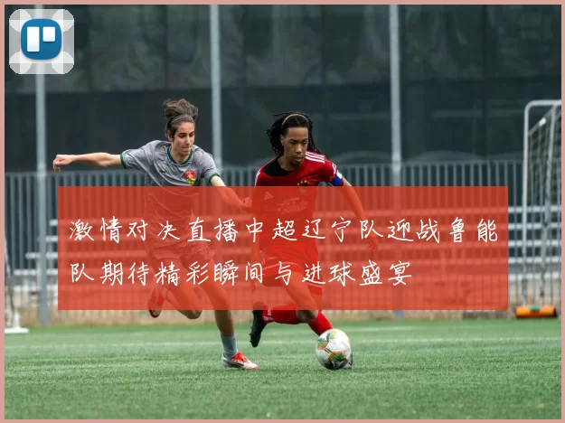 激情对决直播中超辽宁队迎战鲁能队期待精彩瞬间与进球盛宴